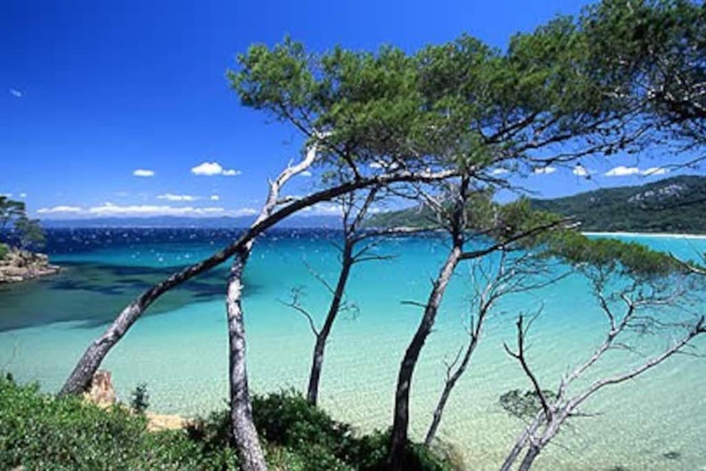 Villa Saint-Come, Du Grand Luxe A 1 Min De La Mer Hyeres Ngoại thất bức ảnh