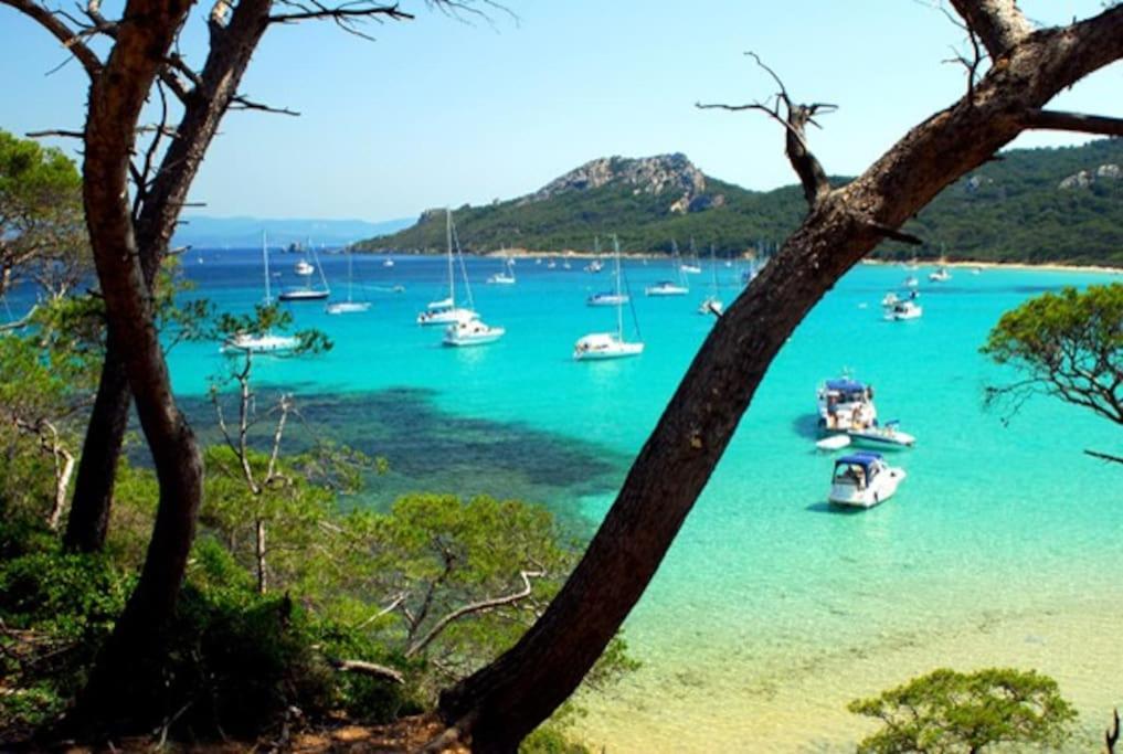 Villa Saint-Come, Du Grand Luxe A 1 Min De La Mer Hyeres Ngoại thất bức ảnh